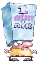 royal皇家88·(中国区) - 官方网站